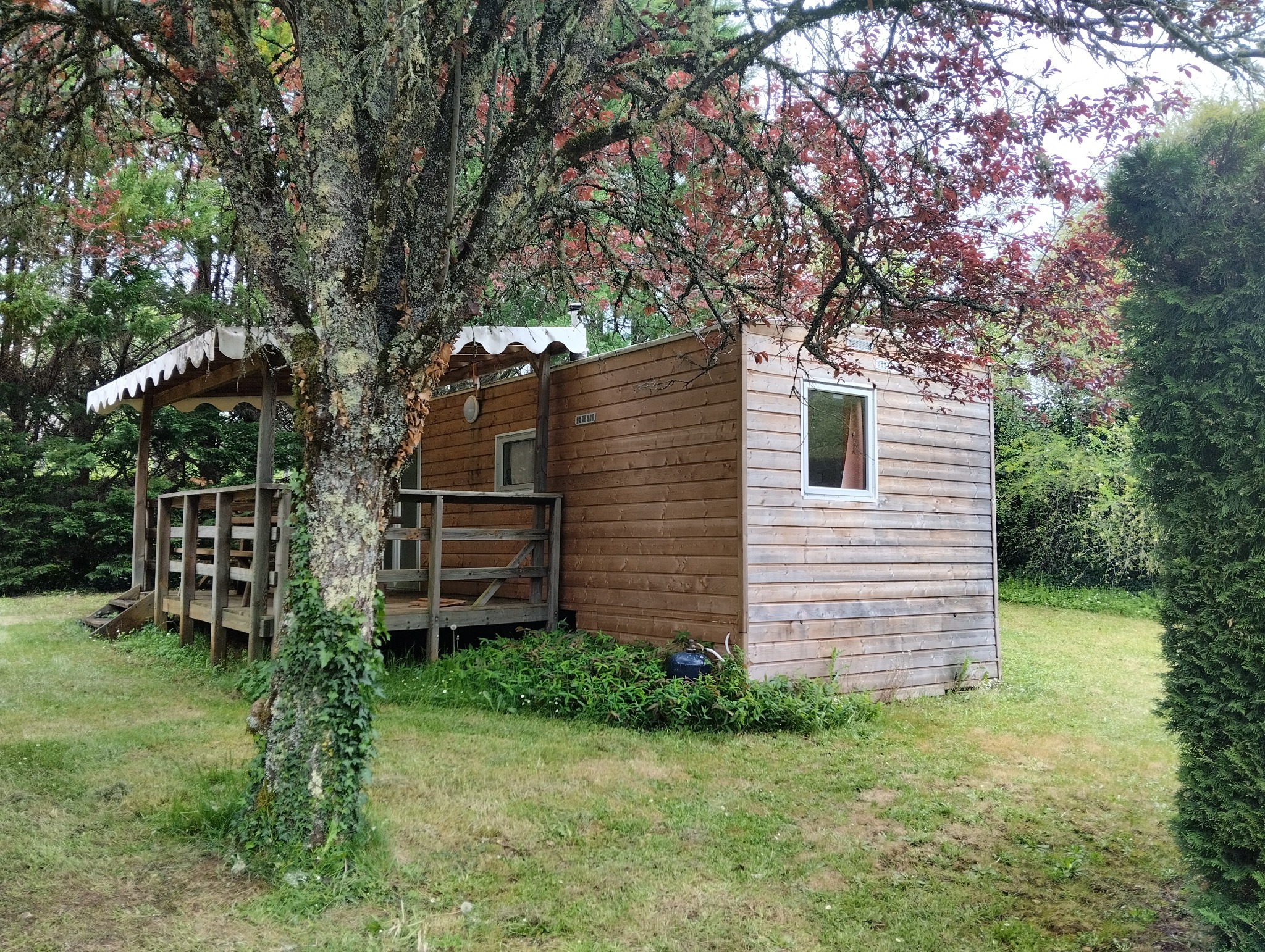 Mobil-home finition bois